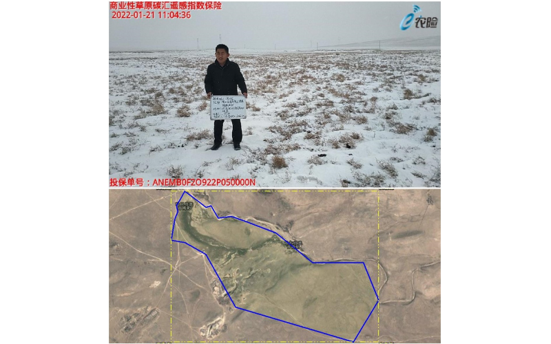 全國首單草原碳匯遙感指數(shù)保險(xiǎn)落地鹿城包頭